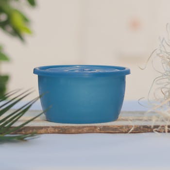 A blue plastic container with lid on a rustic wooden tray, outdoors, with blurred greenery.